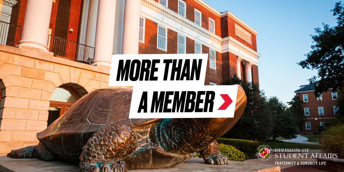More than a member hero image