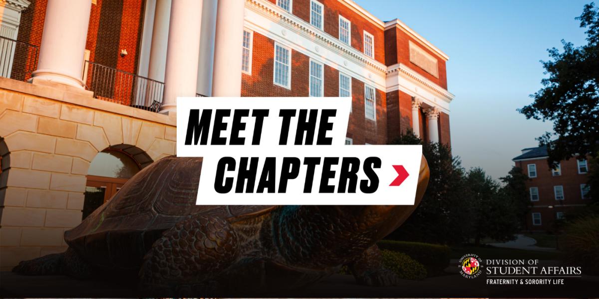 Meet the Chapters